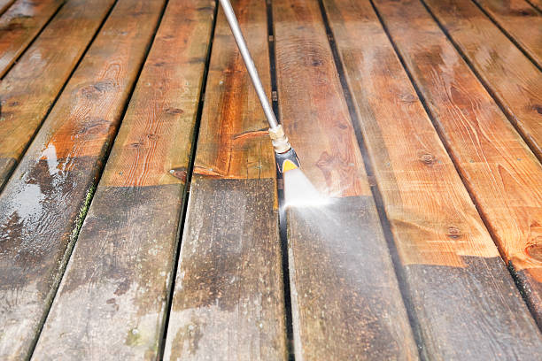 Best Animal Enclosure Cleaning  in Kilmarnock, VA